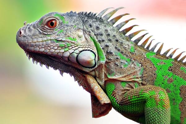 Photograph Sandi Nopri Yanto  Sendiri on One Eyeland